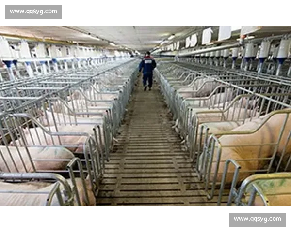 当节奏失控时个体与系统崩塌的连锁反应观察在现代生活与工作中的启示